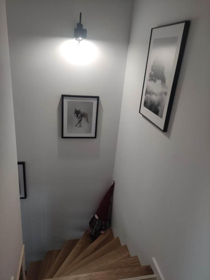 Apartamenty Dubacik Tylicz Dış mekan fotoğraf